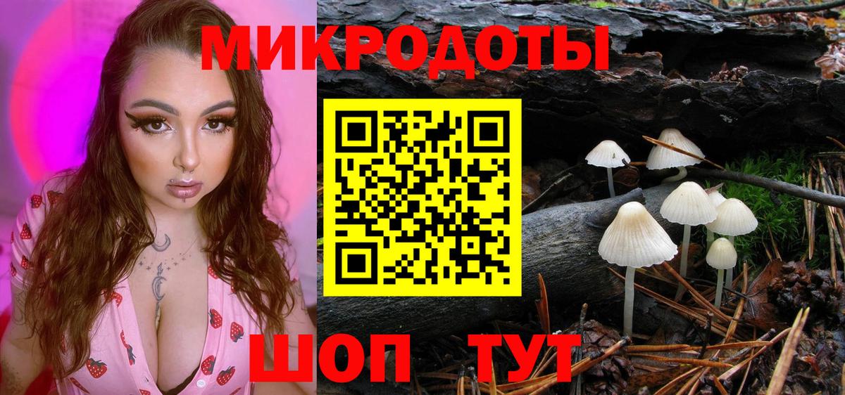 Псилоцибиновые грибы Psilocybine cubensis Мариинск