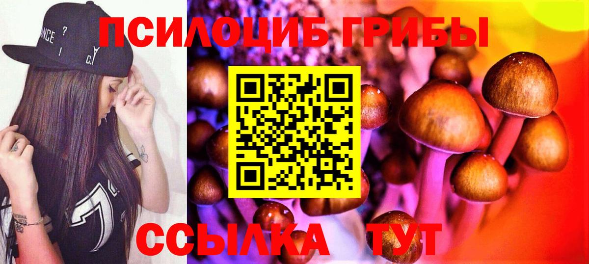 Мариинск  Псилоцибиновые грибы Cubensis  Псилоцибиновые грибы Psilocybine cubensis  Вход с VPN 